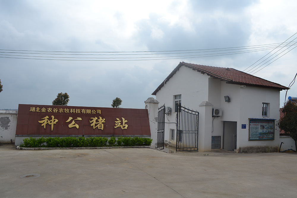湖北省京山市生豬制(繁)種基地-種公豬站建設項目環(huán)境影響評價第二次信息公示